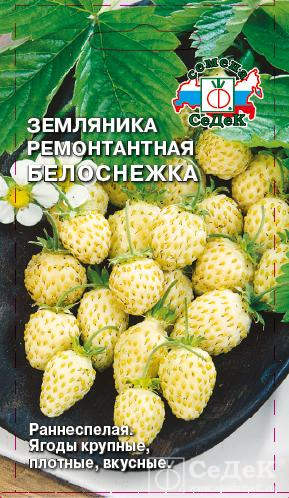 картинка Земляника Белоснежка 0,04г ц/п (Седек) ранняя,ремонтантная,безусая магазин Одежда+ являющийся официальным дистрибьютором в России 