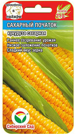 картинка Кукуруза Сахарный початок 6шт (СибСад)  магазин Одежда+ являющийся официальным дистрибьютором в России 