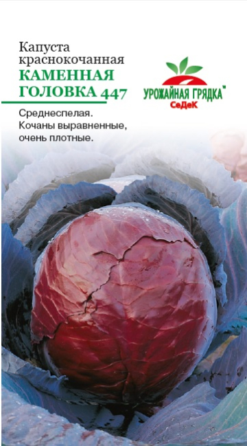 картинка Капуста краснокочанная Каменная головка 447 0,5г ц/п (Седек) магазин Одежда+ являющийся официальным дистрибьютором в России 