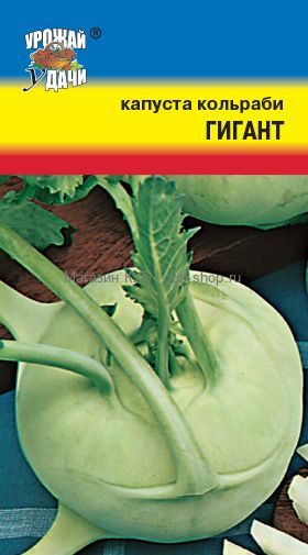 картинка Капуста кольраби Гигант 0,3г ц/п (УУ) магазин Одежда+ являющийся официальным дистрибьютором в России 
