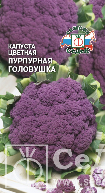картинка Капуста цветная Пурпурная головушка 0,5г ц/п (Седек) поздняя,до 1,3кг. магазин Одежда+ являющийся официальным дистрибьютором в России 