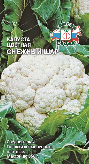 картинка Капуста цветная Снежный шар 0,5г ц/п (Седек) ранняя магазин Одежда+ являющийся официальным дистрибьютором в России 
