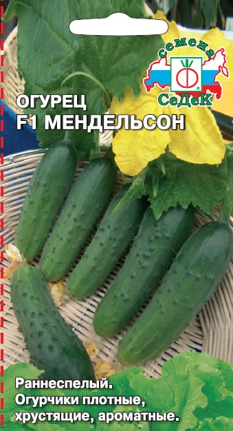 картинка Огурец Мендельсон F1 ц/п (Седек) магазин Одежда+ являющийся официальным дистрибьютором в России 