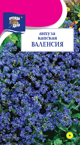 картинка Анхуза капская Валенсия 0,1г ц/п (УУ) магазин Одежда+ являющийся официальным дистрибьютором в России 