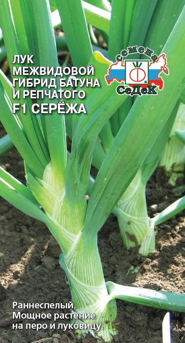 картинка Лук батун Сережа F1 0,3г ц/п (Седек) магазин Одежда+ являющийся официальным дистрибьютором в России 