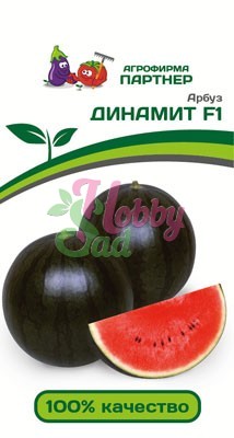картинка Арбуз Динамит F1 5шт (Партнер) магазин Одежда+ являющийся официальным дистрибьютором в России 
