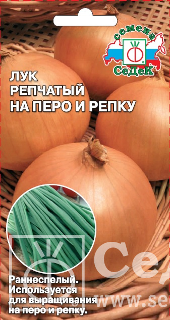 картинка Лук На перо и репку 1г ц/п (Седек) магазин Одежда+ являющийся официальным дистрибьютором в России 