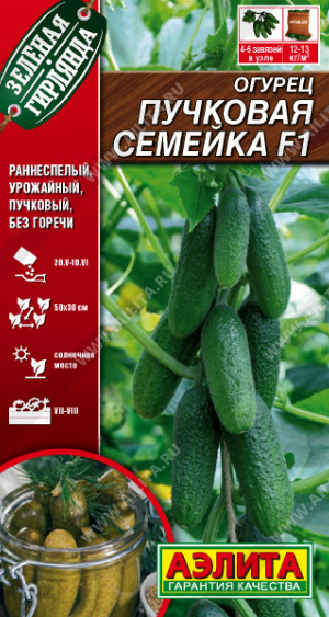 картинка Огурец Пучковая семейка F1 10шт ц/п (Аэлита) ранний,партеник магазин Одежда+ являющийся официальным дистрибьютором в России 