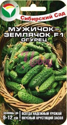 картинка Огурец Мужичок-землячок F1 7шт (СибСад) Новинка магазин Одежда+ являющийся официальным дистрибьютором в России 