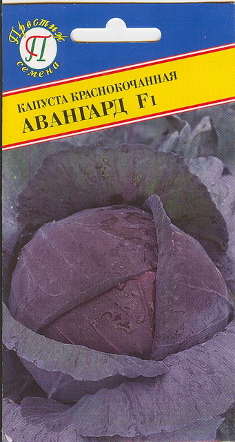 картинка Капуста краснокочанная Авангард F1 15шт (Престиж) ср/сп, 2,2кг. магазин Одежда+ являющийся официальным дистрибьютором в России 