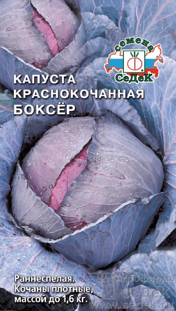 картинка Капуста краснокочанная Боксер 0,5г ц/п (Седек) ультраскоросп., до 1,6 кг магазин Одежда+ являющийся официальным дистрибьютором в России 