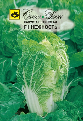 картинка Капуста пекинская Нежность 0,5г (Семко) магазин Одежда+ являющийся официальным дистрибьютором в России 