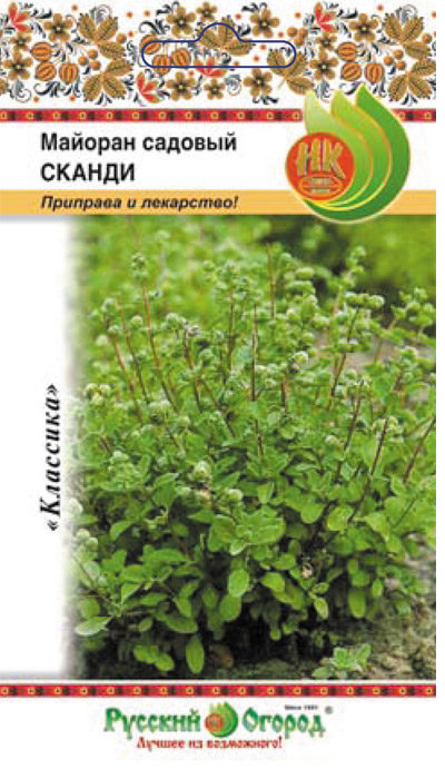 картинка Майоран Сканди садовый 0,1г ц/п (НК)  магазин Одежда+ являющийся официальным дистрибьютором в России 