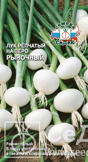 картинка Лук на перо Рыночный 1г ц/п (Седек) ранний,слабоострый магазин Одежда+ являющийся официальным дистрибьютором в России 