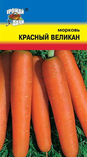 картинка Морковь Красный Великан 2г ц/п (УУ) позд,цилин,200г,хран магазин Одежда+ являющийся официальным дистрибьютором в России 