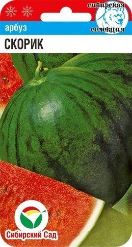 картинка Арбуз Скорик 5шт (СибСад) магазин Одежда+ являющийся официальным дистрибьютором в России 