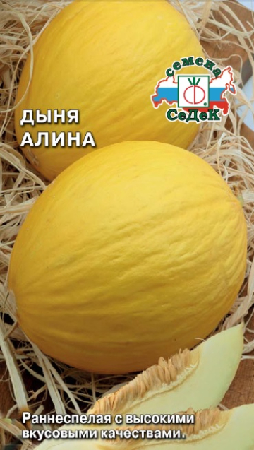 картинка Дыня Алина 0,5г ц/п (Седек) ранняя,до 1кг,холодостойкая магазин Одежда+ являющийся официальным дистрибьютором в России 