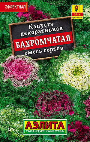 картинка Капуста декоративная Бахромчатая, смесь сортов 0,1г лид/п (Аэлита) магазин Одежда+ являющийся официальным дистрибьютором в России 