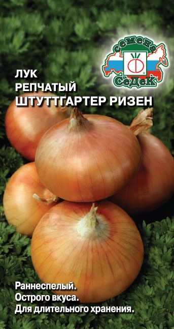 картинка Лук Штуттгартер Ризен 1г б/п (Седек) магазин Одежда+ являющийся официальным дистрибьютором в России 