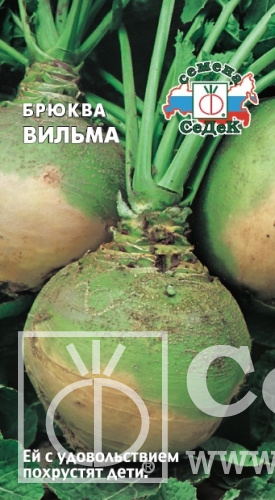 картинка Брюква Вильма 0,5г ц/п (Седек) 300-500г магазин Одежда+ являющийся официальным дистрибьютором в России 