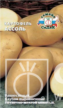 картинка Картофель Ассоль 0,02г ц/п (Седек) ранний, клубни и мякоть св.желтые магазин Одежда+ являющийся официальным дистрибьютором в России 