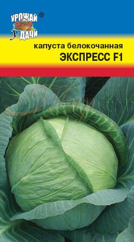 картинка Капуста Экспресс F1 0,2г ц/п (УУ) магазин Одежда+ являющийся официальным дистрибьютором в России 