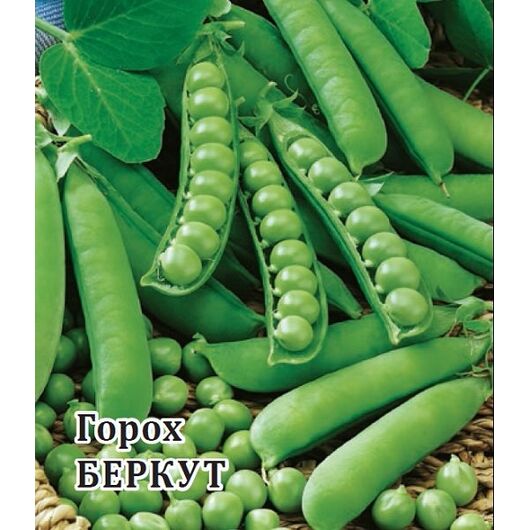 картинка Горох Беркут 50г (Гавриш) магазин Одежда+ являющийся официальным дистрибьютором в России 