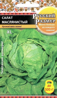 картинка Салат Маслянистый Русский размер кочанный 0,5г ц/п (НК)  магазин Одежда+ являющийся официальным дистрибьютором в России 