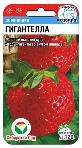картинка Земляника Гигантелла 10шт (СибСад)  магазин Одежда+ являющийся официальным дистрибьютором в России 