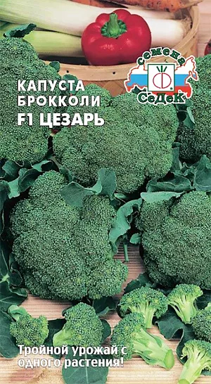 картинка Капуста брокколи Цезарь F1 0,3г б/п (Седек)  магазин Одежда+ являющийся официальным дистрибьютором в России 
