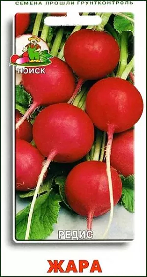 картинка Редис Жара 3г ц/п (Поиск)  магазин Одежда+ являющийся официальным дистрибьютором в России 