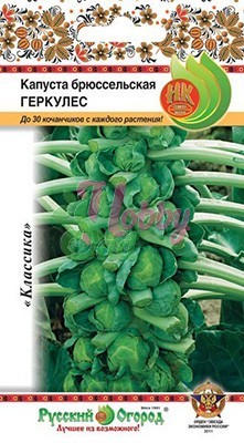 картинка Капуста брюссельская Геркулес 0,5г ц/п (НК) Русский огород с/поздняя магазин Одежда+ являющийся официальным дистрибьютором в России 