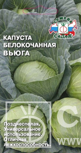 картинка Капуста Вьюга 0,5г ц/п (Седек) (хранение 7-8месяцев) магазин Одежда+ являющийся официальным дистрибьютором в России 