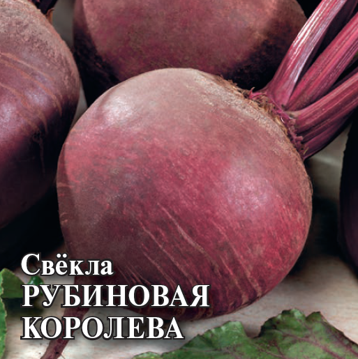 картинка Свекла Рубиновая королева 25г (Гавриш) магазин Одежда+ являющийся официальным дистрибьютором в России 