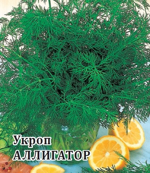 картинка Укроп Аллигатор 100г (Гавриш) магазин Одежда+ являющийся официальным дистрибьютором в России 