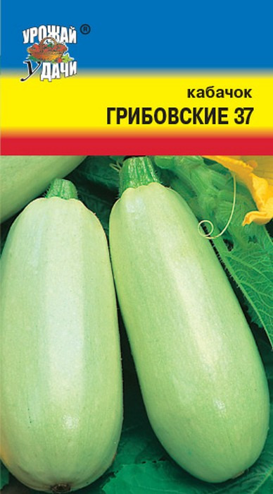 картинка Кабачок Грибовский 37 1,5г ц/п (УУ) магазин Одежда+ являющийся официальным дистрибьютором в России 