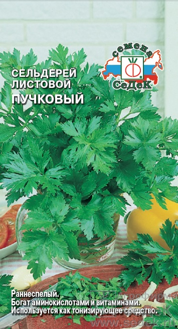 картинка Сельдерей листовой Пучковый 0,5г ц/п (Седек) магазин Одежда+ являющийся официальным дистрибьютором в России 