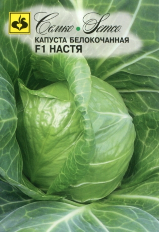 картинка Капуста Настя F1 0,3г (Семко) магазин Одежда+ являющийся официальным дистрибьютором в России 