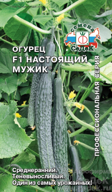 картинка Огурец Настоящий мужик F1 0,2г ц/п (Седек) 35см,салатный, для осеннего и зимнего оборота магазин Одежда+ являющийся официальным дистрибьютором в России 