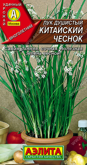 картинка Лук душистый Китайский чеснок 0,3г ц/п (Аэлита) магазин Одежда+ являющийся официальным дистрибьютором в России 