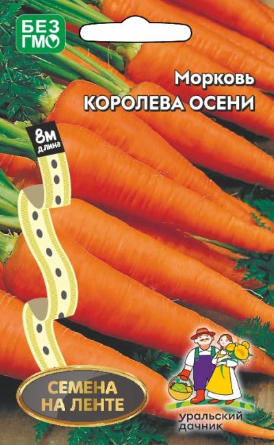 картинка Морковь лента Королева осени 8м (УД) магазин Одежда+ являющийся официальным дистрибьютором в России 