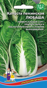картинка Капуста пекинская Любаша 0,25г ц/п (УД) ранняя, до 2кг. магазин Одежда+ являющийся официальным дистрибьютором в России 