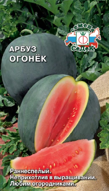 картинка Арбуз Огонек 1г ц/п (Седек) магазин Одежда+ являющийся официальным дистрибьютором в России 
