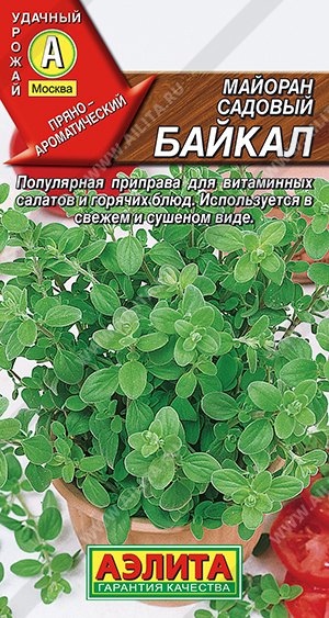 картинка Майоран Байкал садовый 0,1г ц/п (Аэлита) магазин Одежда+ являющийся официальным дистрибьютором в России 