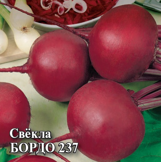 картинка Свекла Бордо 237 100г (Гавриш) магазин Одежда+ являющийся официальным дистрибьютором в России 