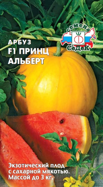 картинка Арбуз Принц Альберт F1 0,5г ц/п (Седек) раннеспелый, круглый, до 3кг магазин Одежда+ являющийся официальным дистрибьютором в России 