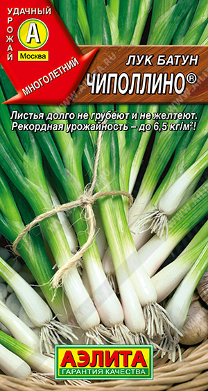 картинка Лук батун Чиполлино 0,5г ц/п (Аэлита) магазин Одежда+ являющийся официальным дистрибьютором в России 
