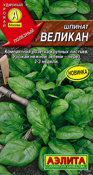 картинка Шпинат Великан 3г ц/п (Аэлита) магазин Одежда+ являющийся официальным дистрибьютором в России 