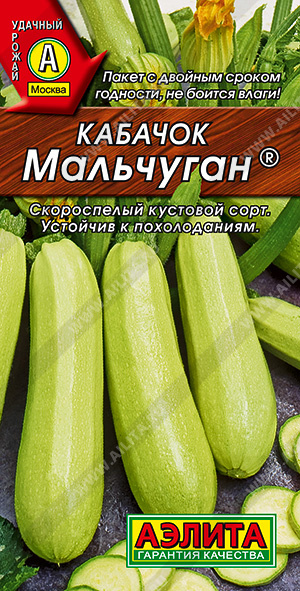 картинка Кабачок Мальчуган 1г ц/п (Аэлита) кустовые, белоплодный магазин Одежда+ являющийся официальным дистрибьютором в России 