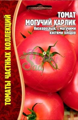 картинка Томат Могучий Карлик 20шт (Григорьев) магазин Одежда+ являющийся официальным дистрибьютором в России 